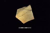 藏品(陶片)的圖片